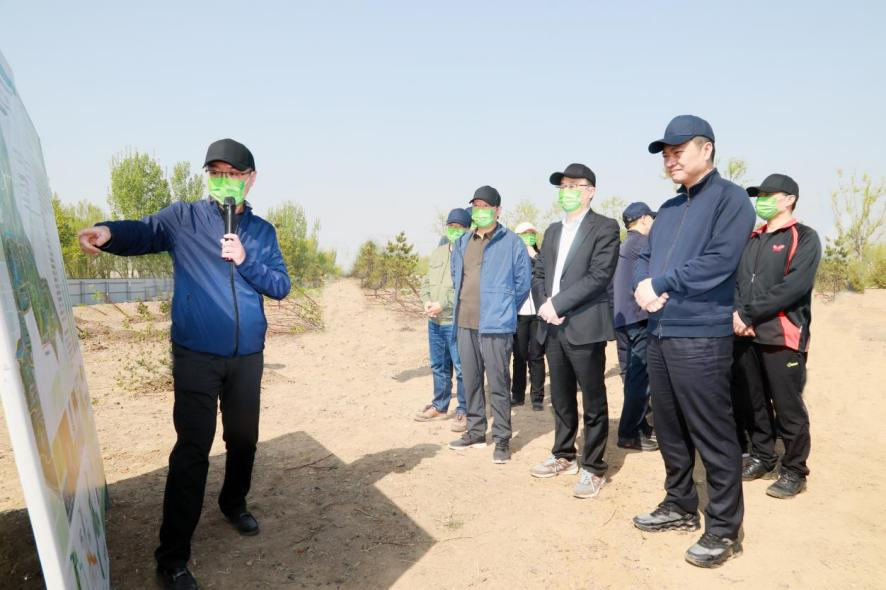 集團公司與國家林業和草原局、國家開發銀行聯合開展義務植樹活動